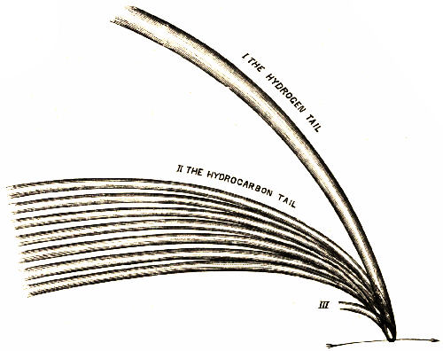 Fig. 72.—Bredichin's Theory of Comets' Tails.
