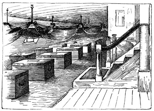Illustration: Hammocks On Board The Britannia