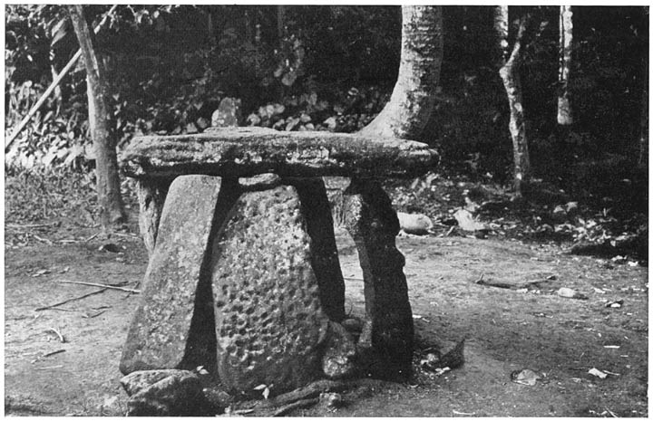 A DANCING-TABLE ON DANCING-GROUND NEAR PORT SANDWICH, MADE OF CORAL PLATES.