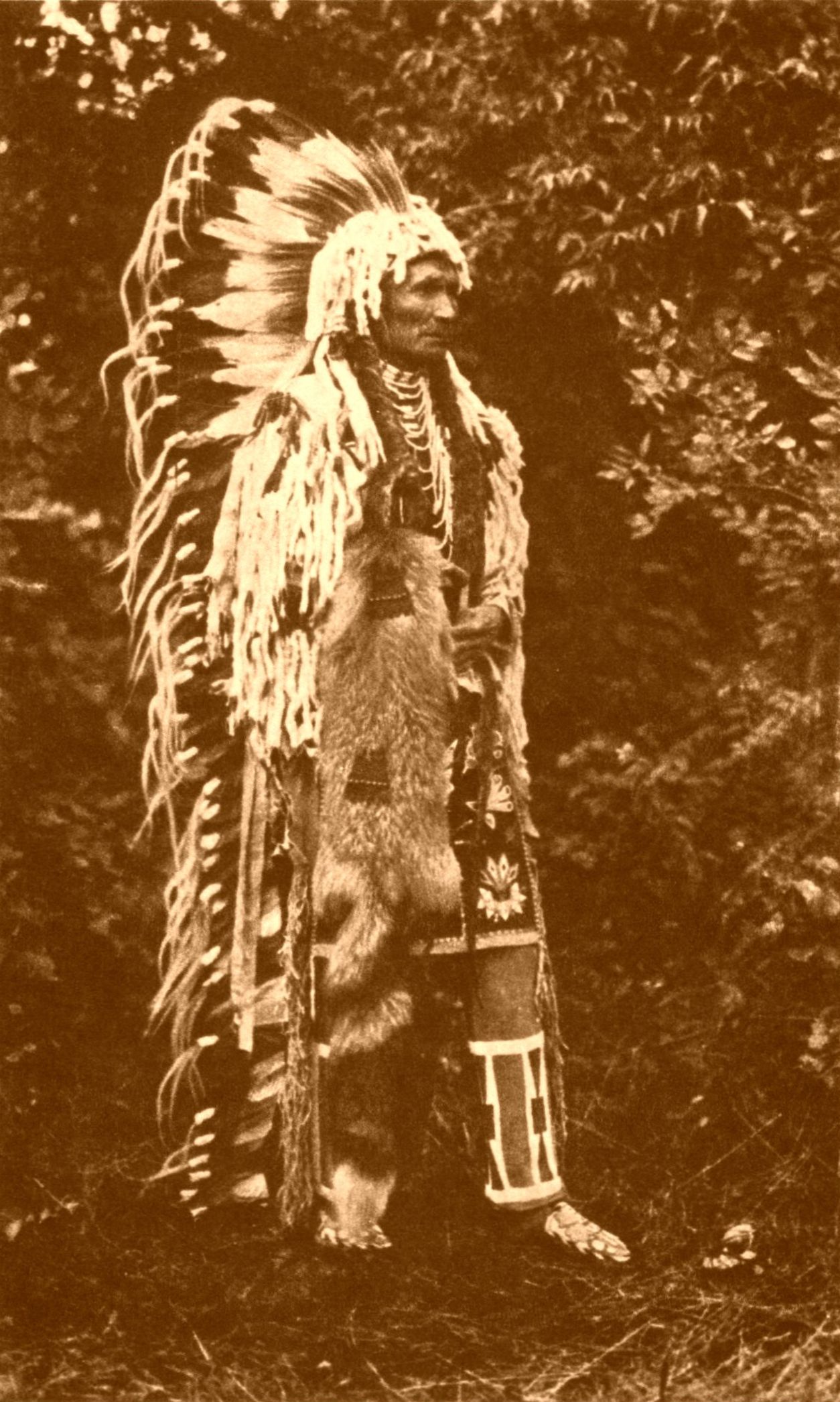Chief Umapine Chief Umapine