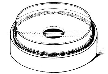 Fig. 131.—McLeod's anaerobic plate base with half petri
dish inverted in situ