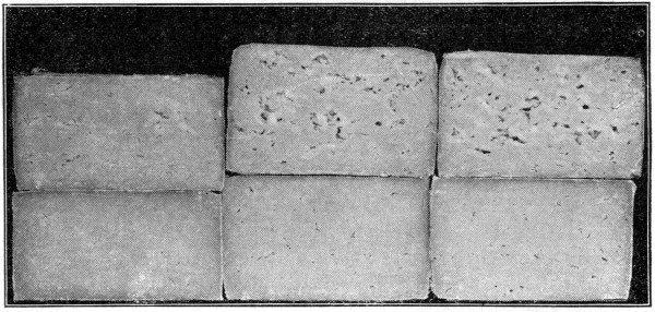 Fig. 31. Influence of curing temperature on texture of
cheese. Upper row ripened eight months at 60° F.; lower row at 40° F.
