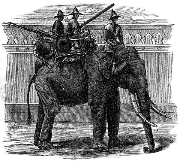 Illustration: A MODERN WAR ELEPHANT