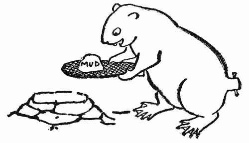 Beaver using his Tail as a Trowel