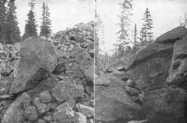 XXXV. The Coney barns full of hay stored for winter use

Photos by E. T. Seton