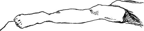 Fig. 27.