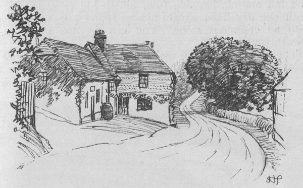 The Red Lion, Thursley.