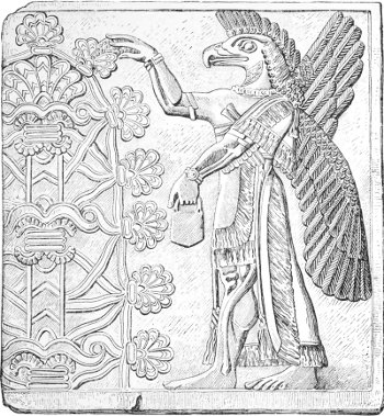 Fig. 8.—Eagle-headed divinity, from Nimroud. Louvre.
Alabaster. Height forty inches. Drawn by Saint-Elme Gautier.