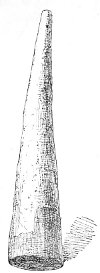 Fig. 120.—Cone with coloured base; from Loftus.