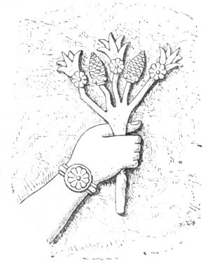 Fig. 133.—Bouquet of flowers and buds; from Layard.