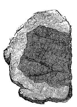 Fig. 151.