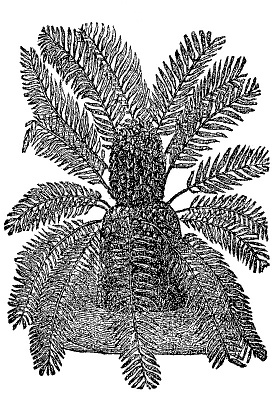 Fig.35.