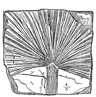 Fig. 43.