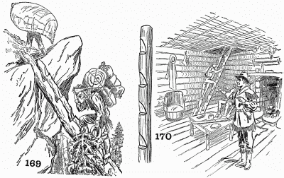 The pioneer log ladder.