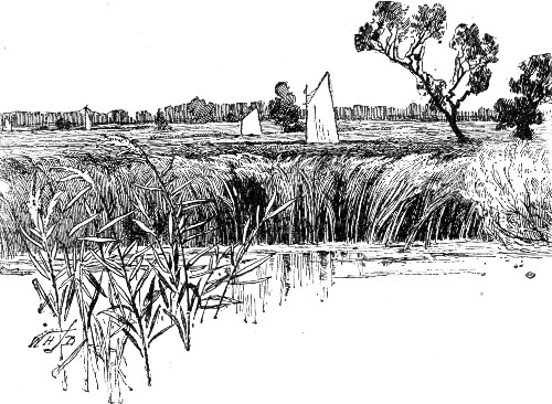 Fig. 34.—View in the district of the Broads, Norfolk.