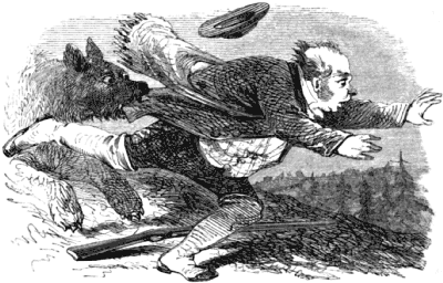 A portly man trying to run from a bear, which grips his jacket in its teeth