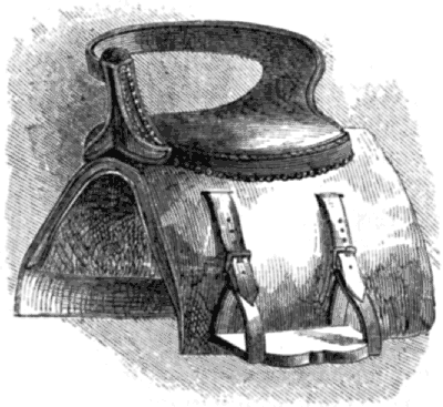 A side-saddle, with low body support and a broad stirrup