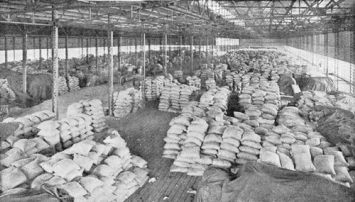 Showing How Coffee Is Stored Under Steel-Covered Sheds at New Orleans