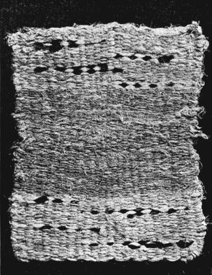 A RUG

Made of narrow strips of cotton cloth.