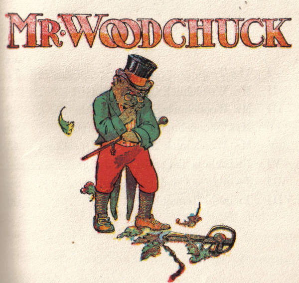 Mr. Woodchuck