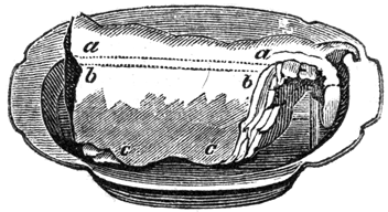 Saddle of mutton on a platter