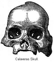 Calaveras Skull.