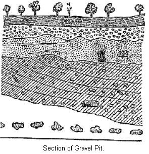Section of Gravel Pit.