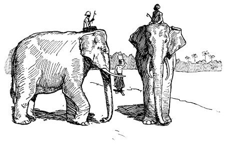 ELEPHANTS, BURMA.