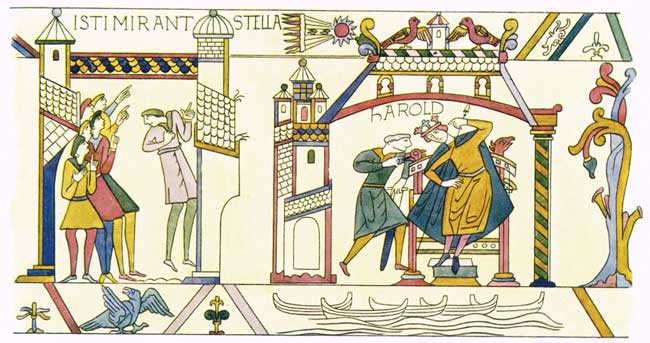 THE COMET IN THE BAYEUX TAPESTRY.