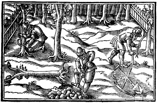 Frontispiece: 3 men digging, grafting, and planting a tree
