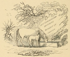 Mare and foal drinking from a trough
