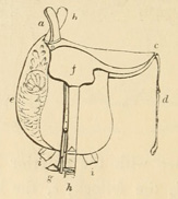 Diagram of a side-saddle