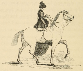 View of off side of mounted woman