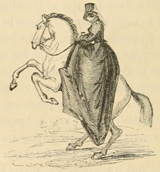 Woman on rearing horse