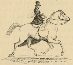 Woman riding trotting horse