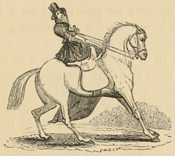 Woman stopping her horse