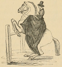 Horse, with woman riding, leaping a bar from a standing start