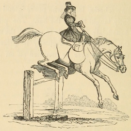 Horse, with woman riding, jumping a bar