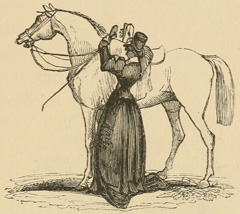 Woman facing the horse after dismounting
