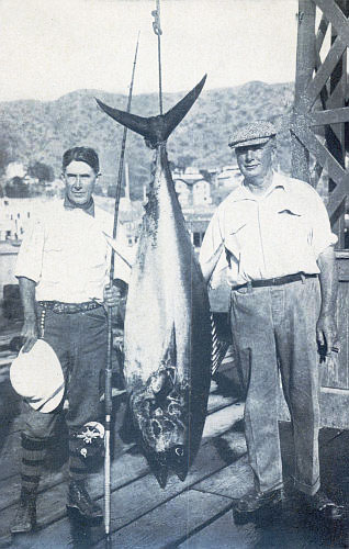A BLUE-FINNED PLUGGER OF THE DEEP—138-POUND TUNA