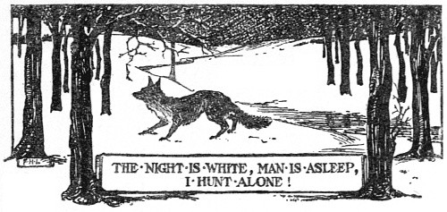 The Night is White, Man
is asleep, I hunt alone!