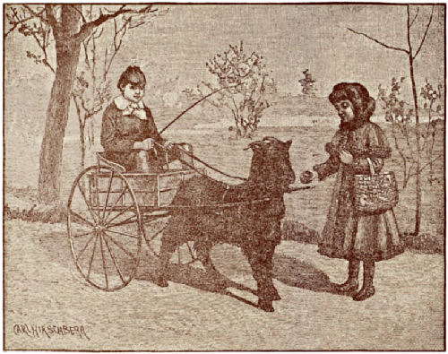 Gypsy pulling a small two-wheeled cart