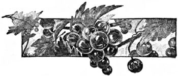 A sprig of berries