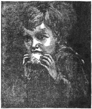 A boy eating an apple