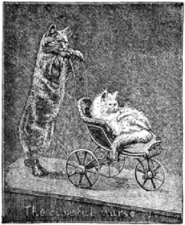 A cat pushes a pram containing another cat