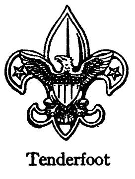 Boy Scout Badge CUB ASTRONOMER Proficiency black s/star 