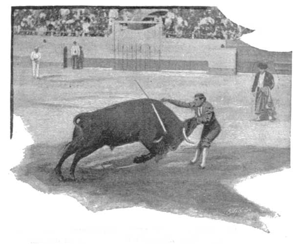 ESPARTERO, THE FAMOUS BULL-FIGHTER, WHO WAS KILLED IN THE
MADRID ARENA IN JULY 1894.