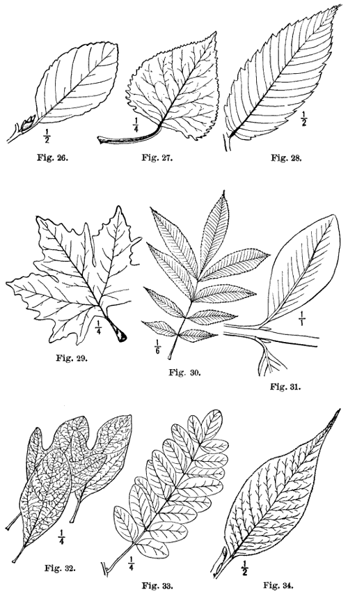 Fig. 26-34.