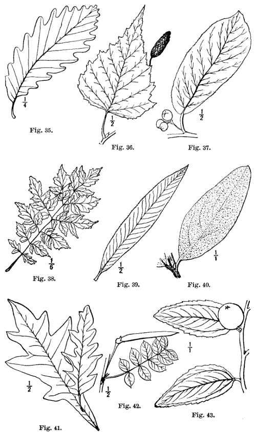 Fig. 35-43.