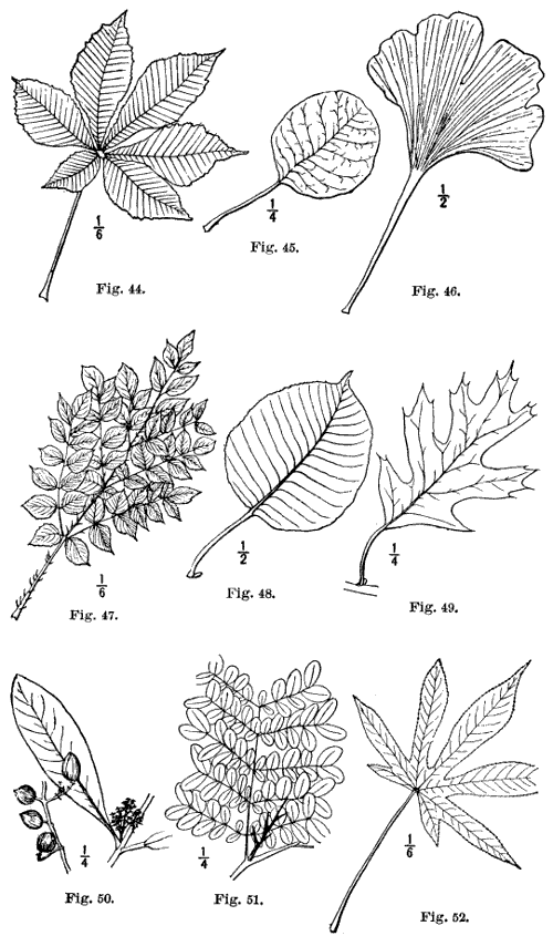 Fig. 44-52.